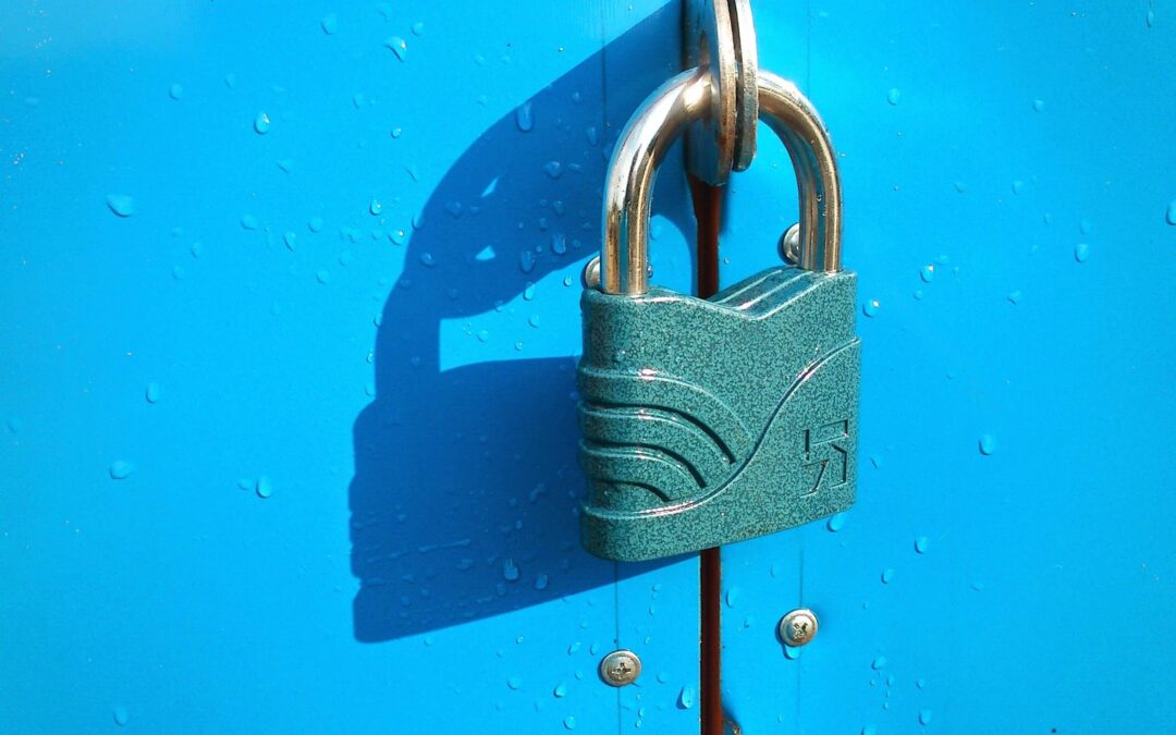 Unlock the Secret World of Commercial Cylindrical Locks