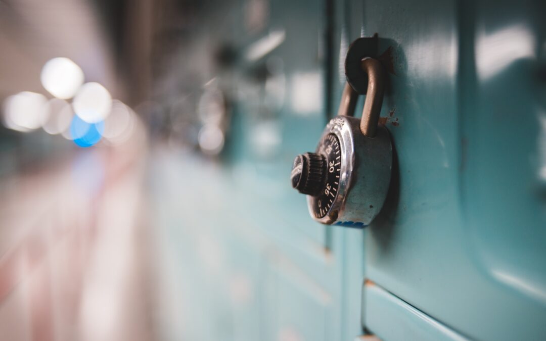 Understanding the Differences Between Mortise and Cylindrical Locks in Los Angeles - Locksmith Los Angeles